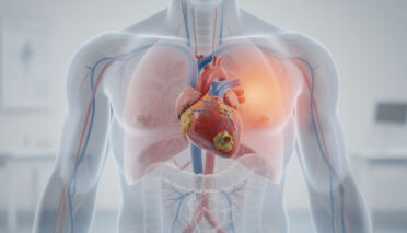 découvrez notre guide complet pour mieux comprendre les maladies cardiovasculaires, leurs causes, symptômes et les moyens de prévention essentiels pour protéger votre cœur.